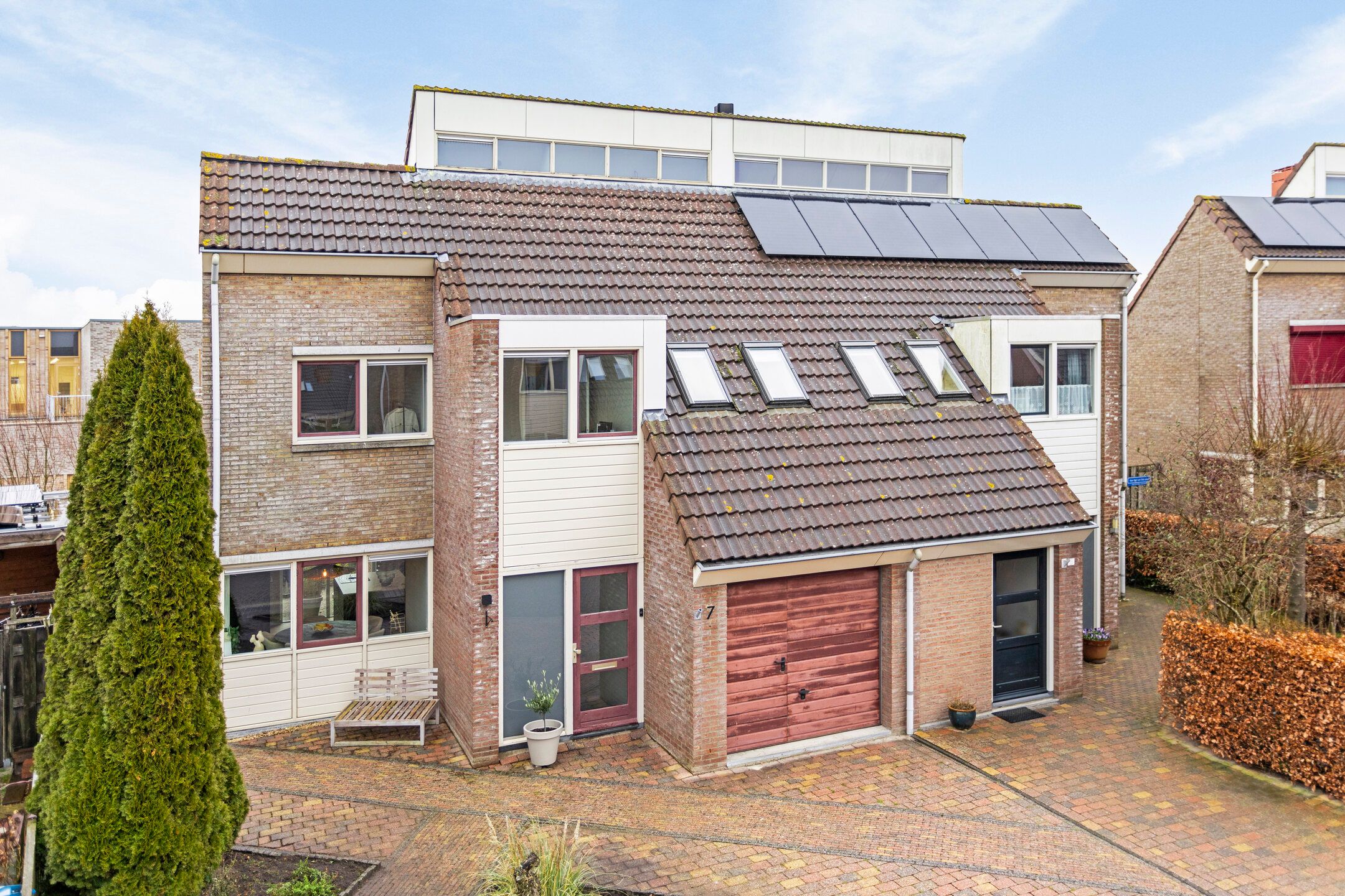 Photo 6 of Scholekster 7