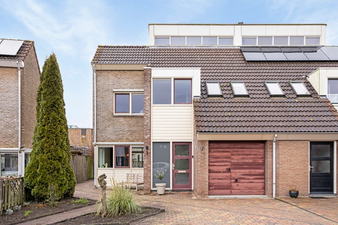 Photo 7 of Scholekster 7