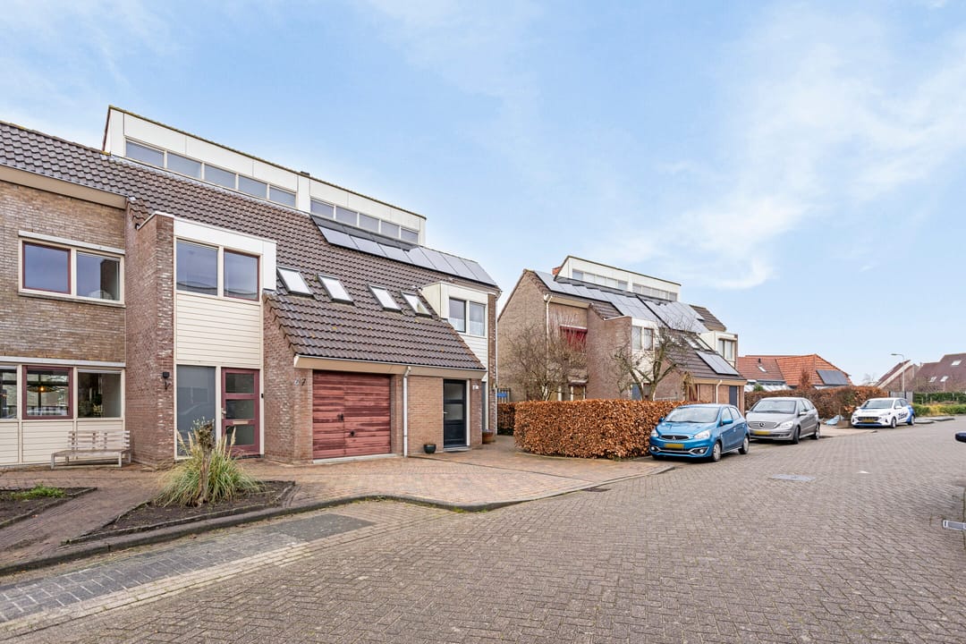 Photo 8 of Scholekster 7