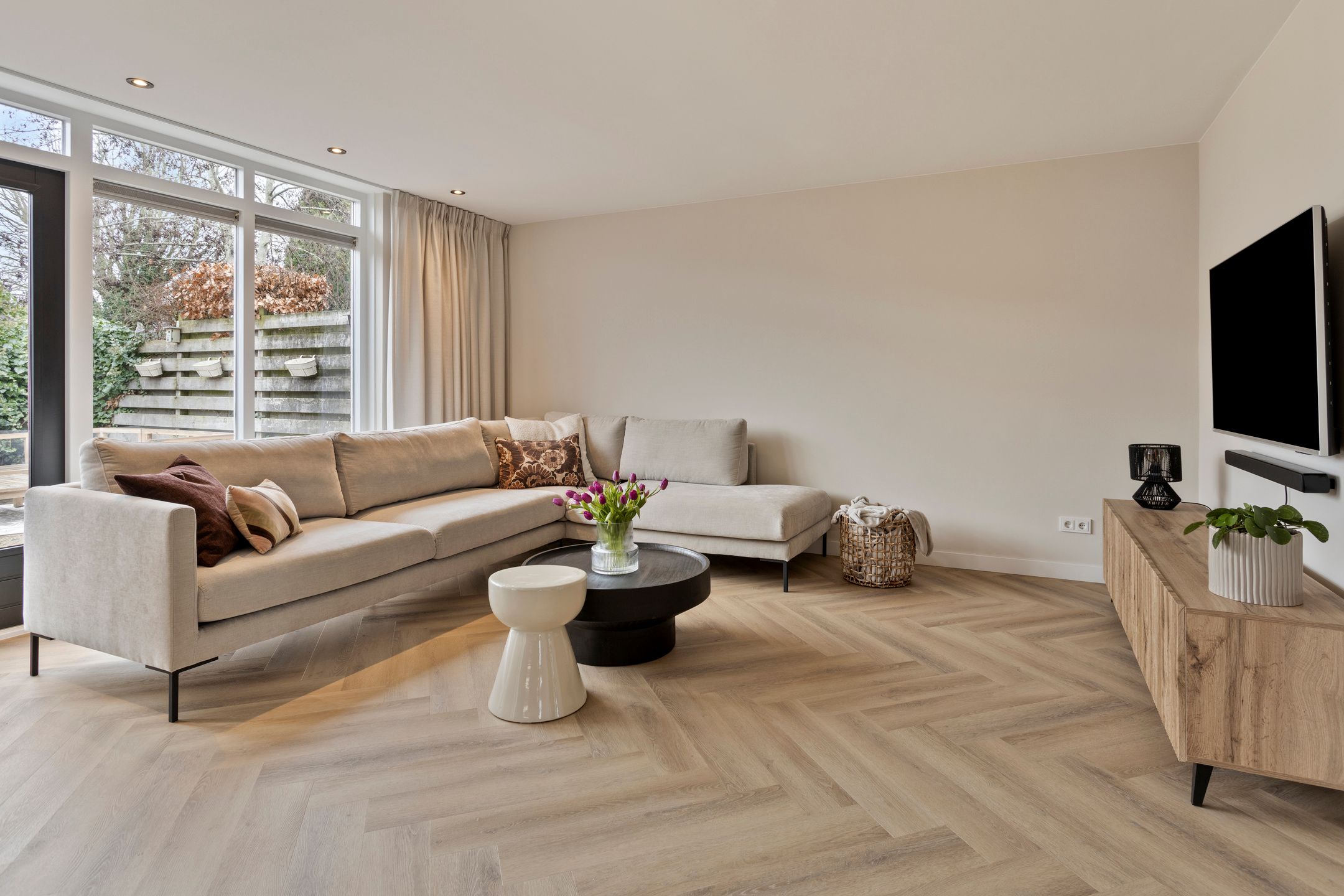 Photo 12 of Scholekster 7