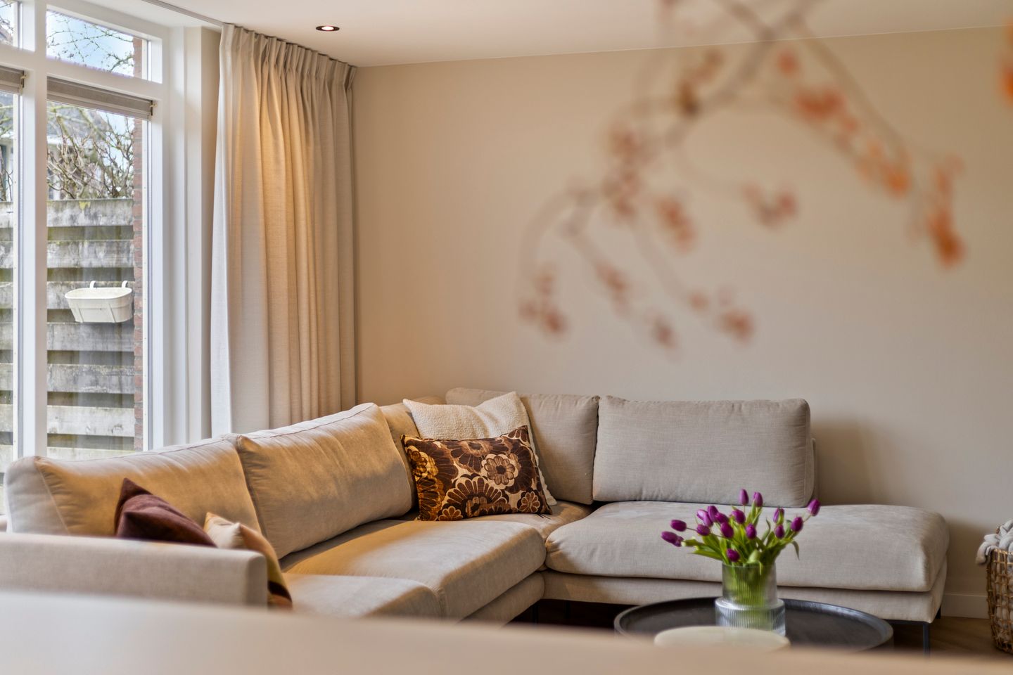 Photo 19 of Scholekster 7