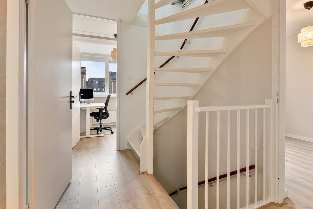 Photo 26 of Scholekster 7