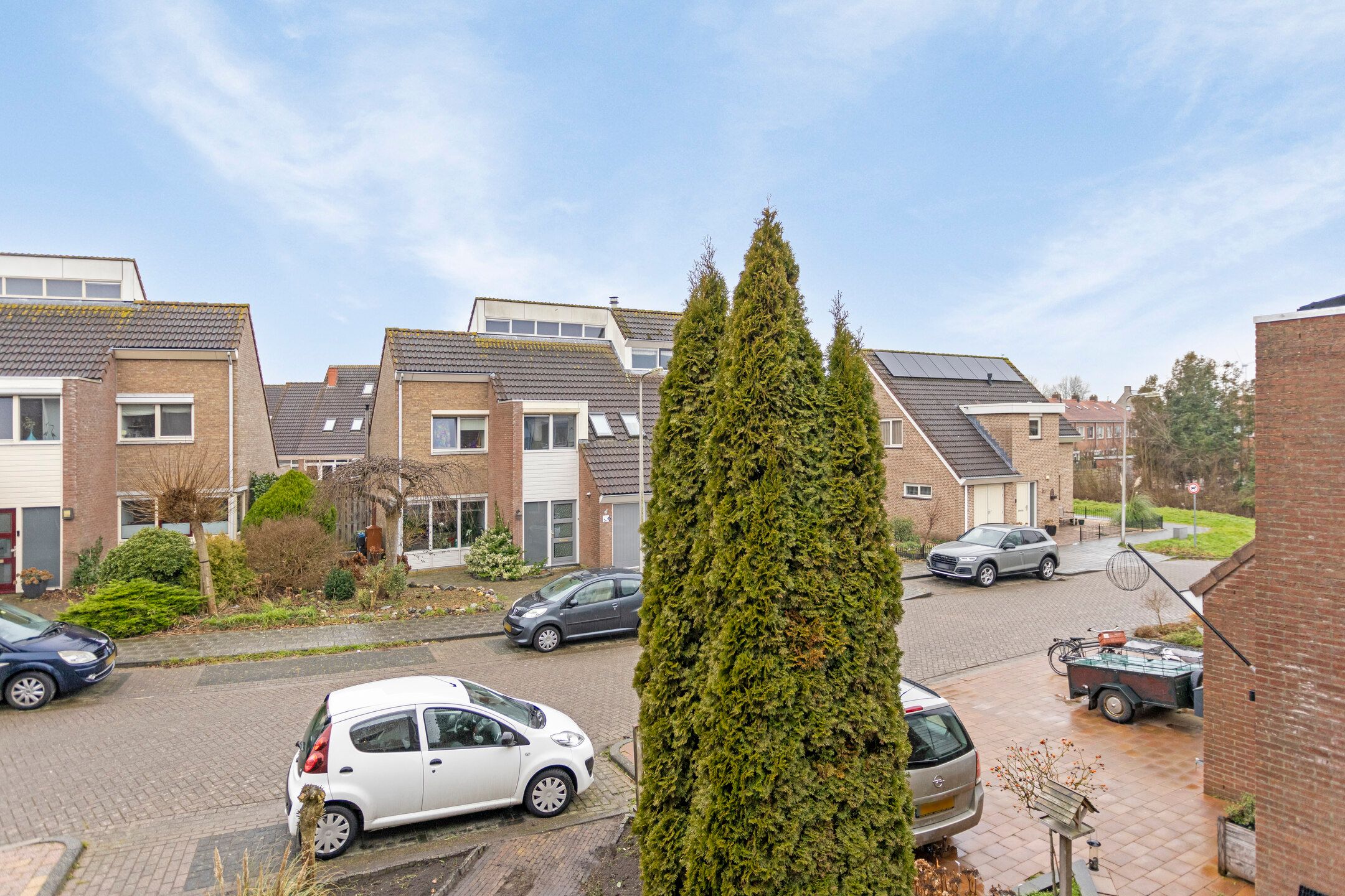 Photo 33 of Scholekster 7