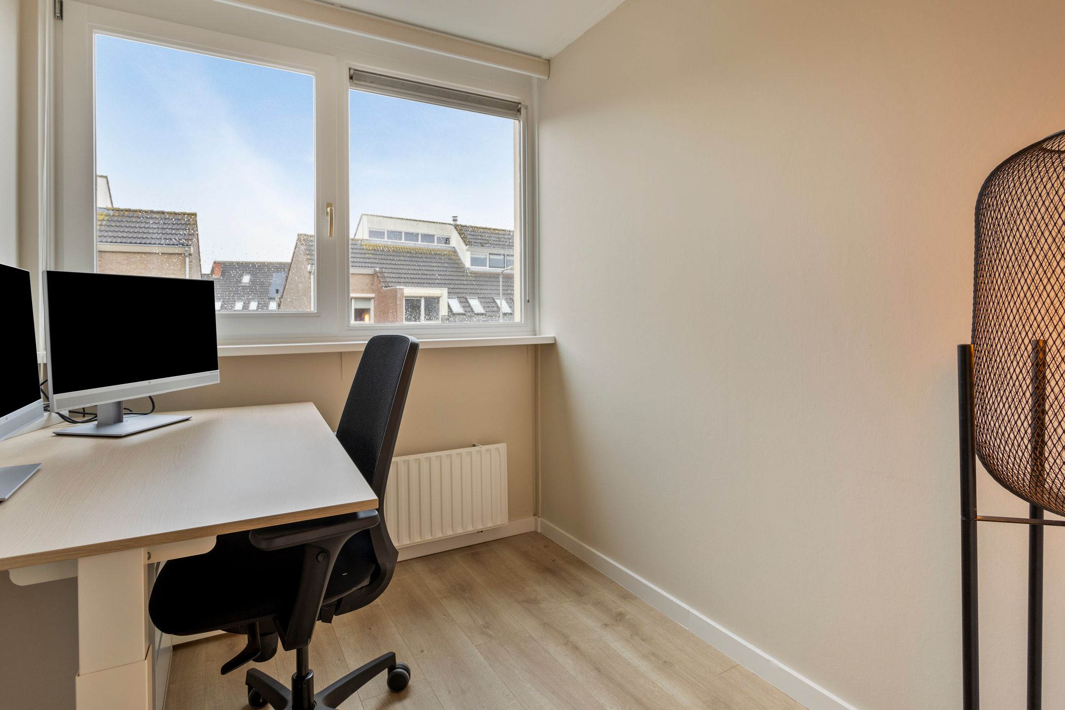 Photo 36 of Scholekster 7