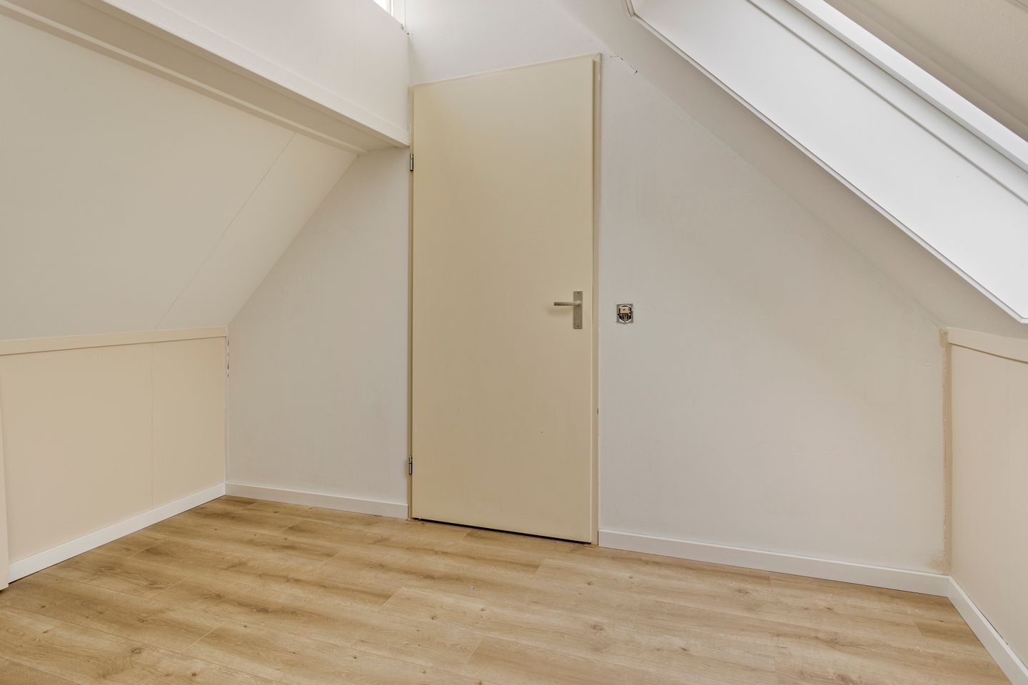 Photo 40 of Scholekster 7