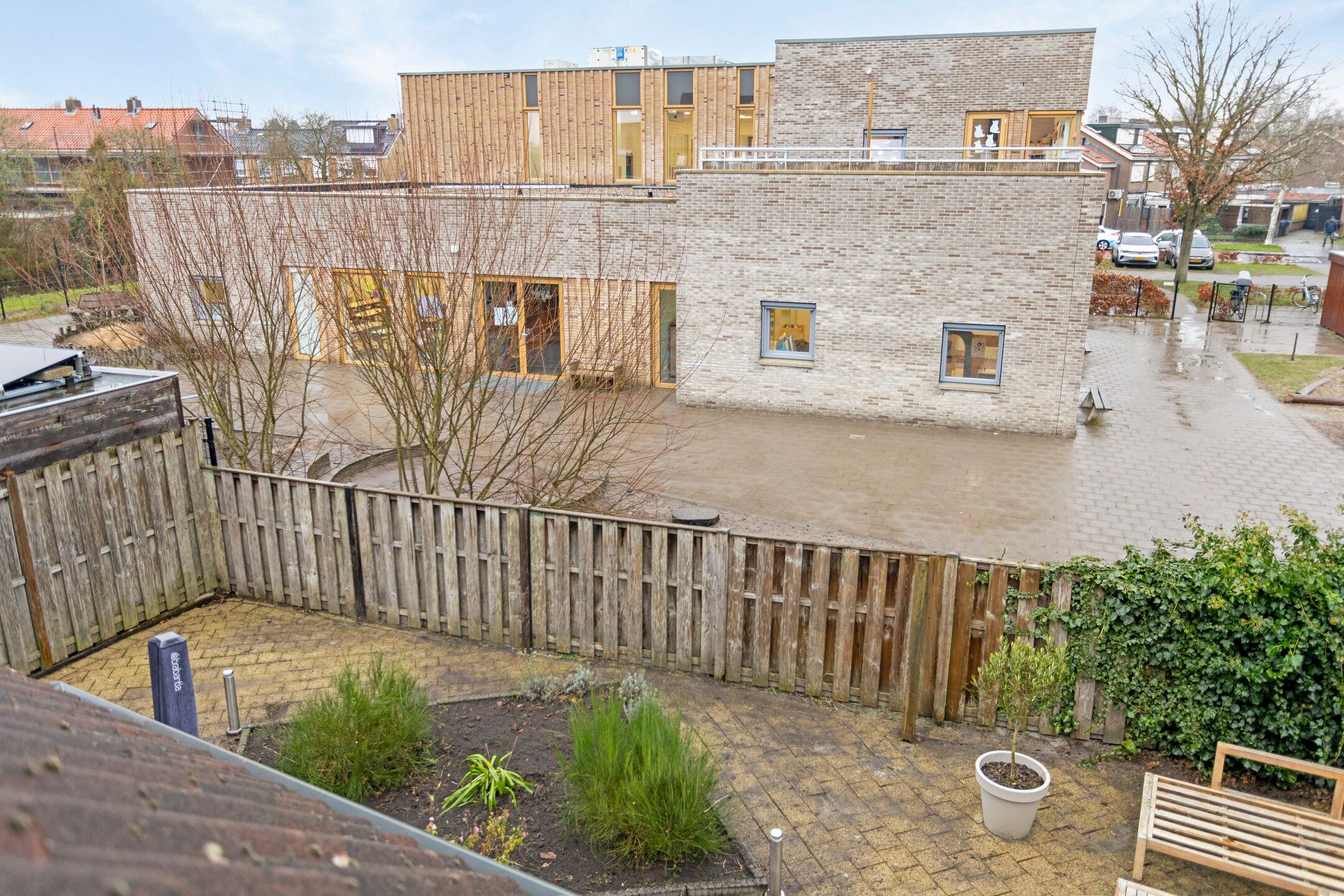 Photo 42 of Scholekster 7