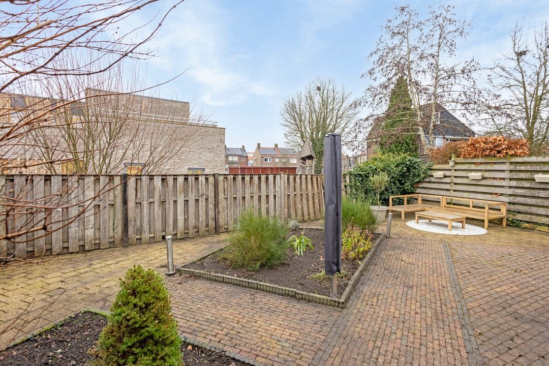 Photo 43 of Scholekster 7