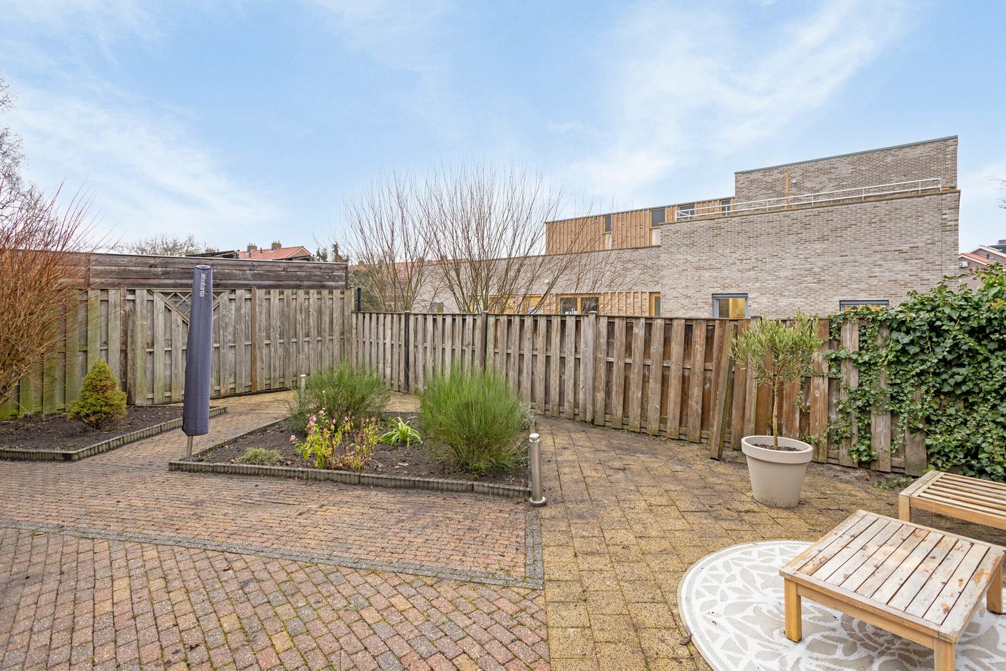 Photo 44 of Scholekster 7