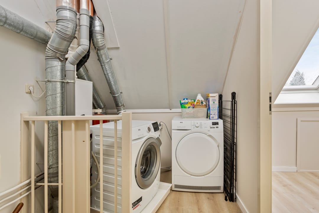 Photo 38 of Scholekster 7