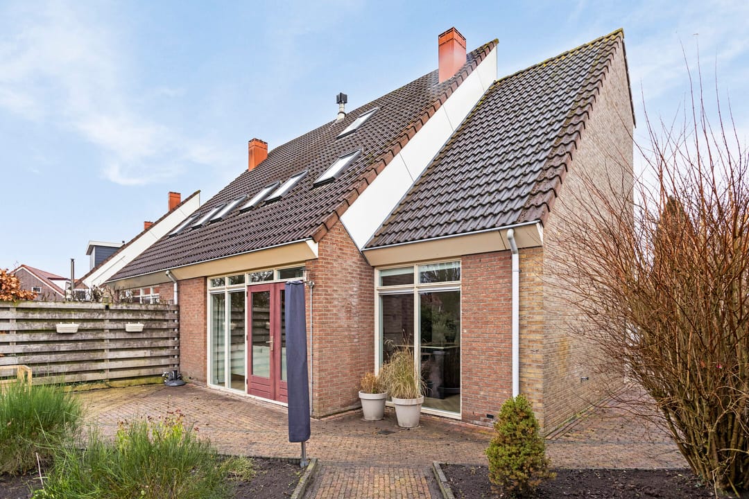 Photo 46 of Scholekster 7