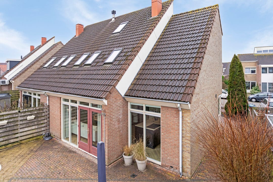 Photo 47 of Scholekster 7