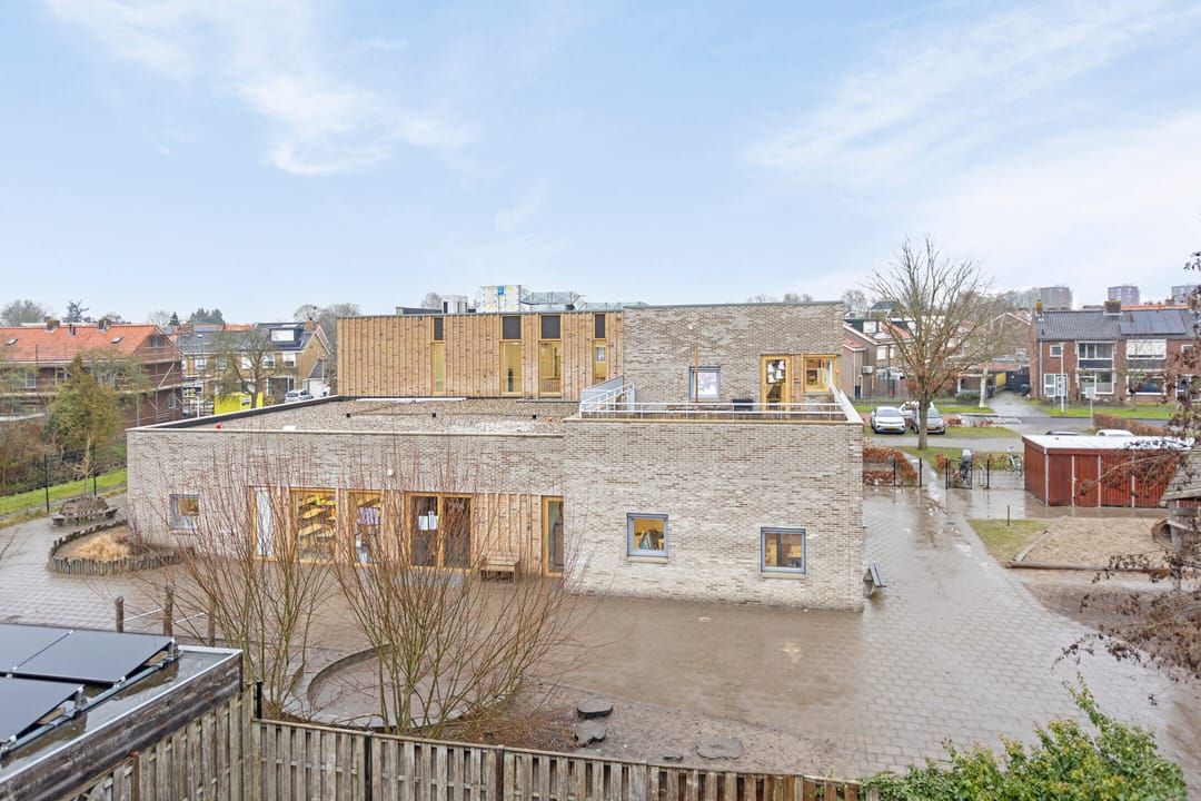 Photo 41 of Scholekster 7