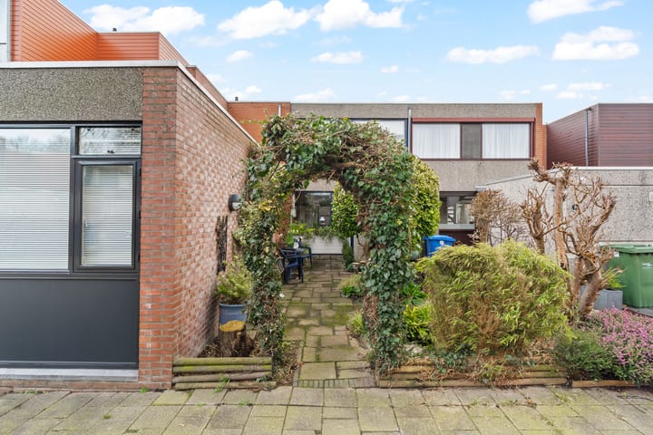 Foto 5 van Driedistel 34