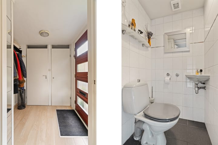 Foto 6 van Driedistel 34