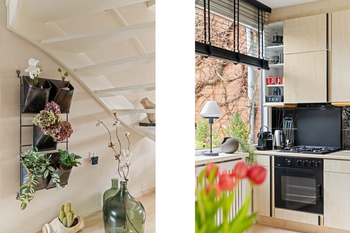 Foto 14 van Driedistel 34