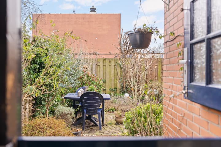 Foto 32 van Driedistel 34