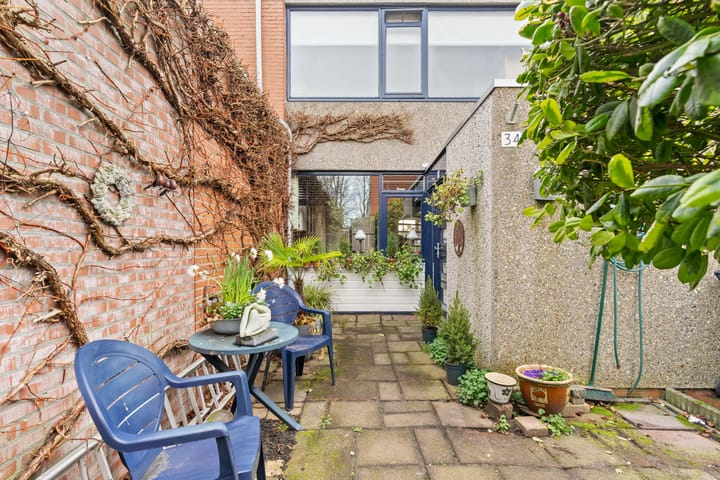 Foto 33 van Driedistel 34