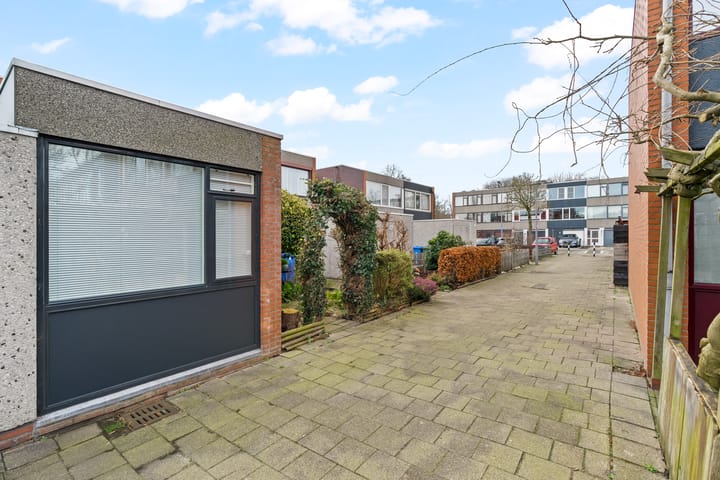 Foto 36 van Driedistel 34