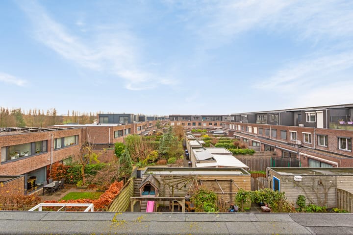 Foto 29 van Zonnedauw 17