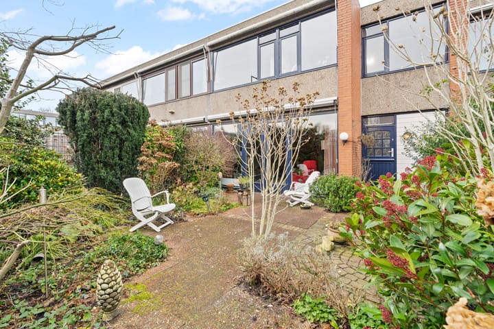 Foto 4 van Driedistel 34