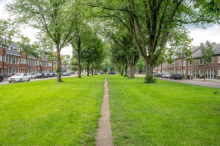 Foto 46 van Balderikstraat 34