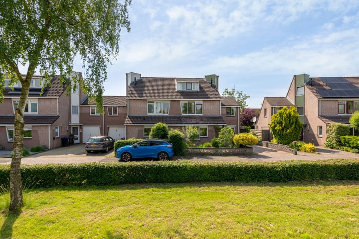 Foto 2 van Goudsbloem 14