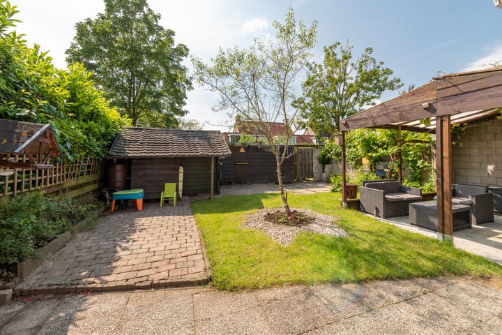 Foto 20 van Goudsbloem 14