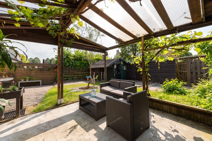 Foto 21 van Goudsbloem 14