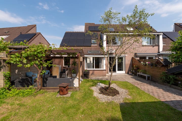 Foto 24 van Goudsbloem 14