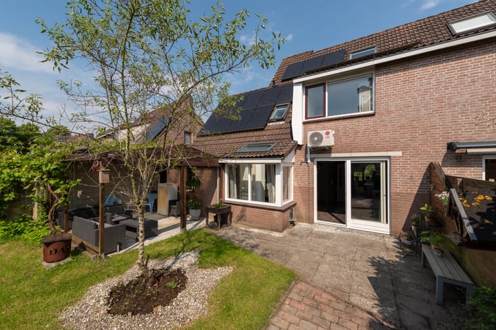 Foto 25 van Goudsbloem 14