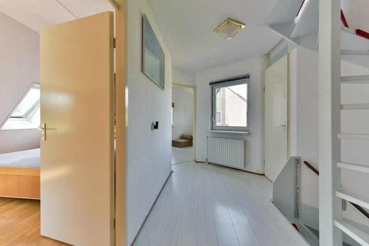 Foto 28 van Goudsbloem 14