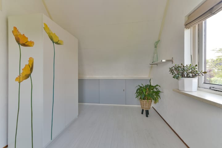 Foto 35 van Goudsbloem 14