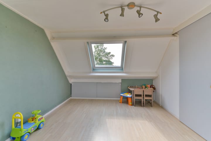 Foto 45 van Goudsbloem 14