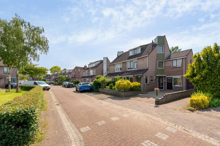 Foto 47 van Goudsbloem 14