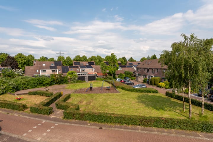 Foto 48 van Goudsbloem 14