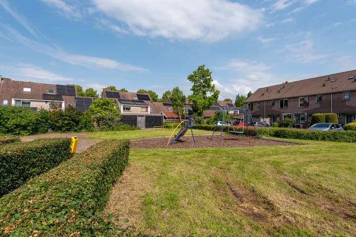 Foto 49 van Goudsbloem 14