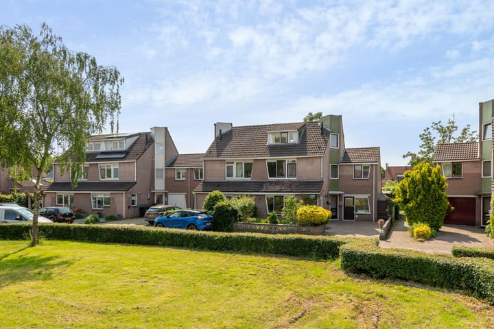 Foto 50 van Goudsbloem 14