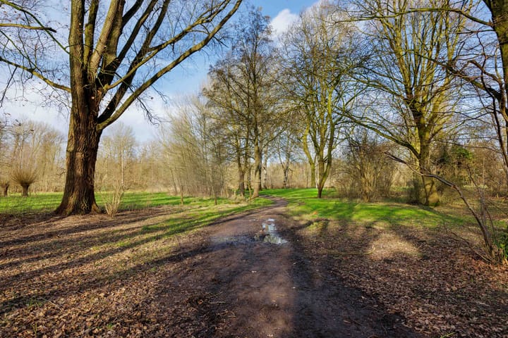 Foto 41 van Meerkoetstraat 7