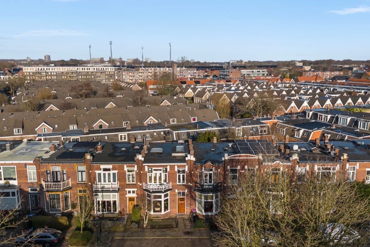 Foto 50 van Vredeman de Vriesstraat 55