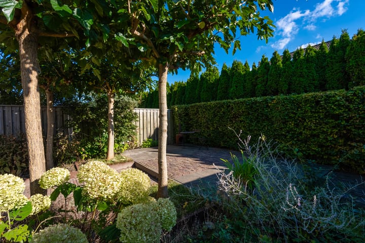 Foto 25 van Vissersknoop 51