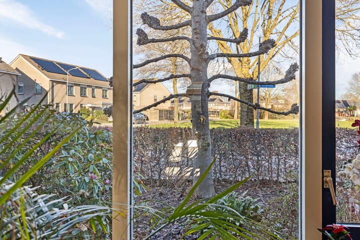 Foto 12 van Bergkristal 2