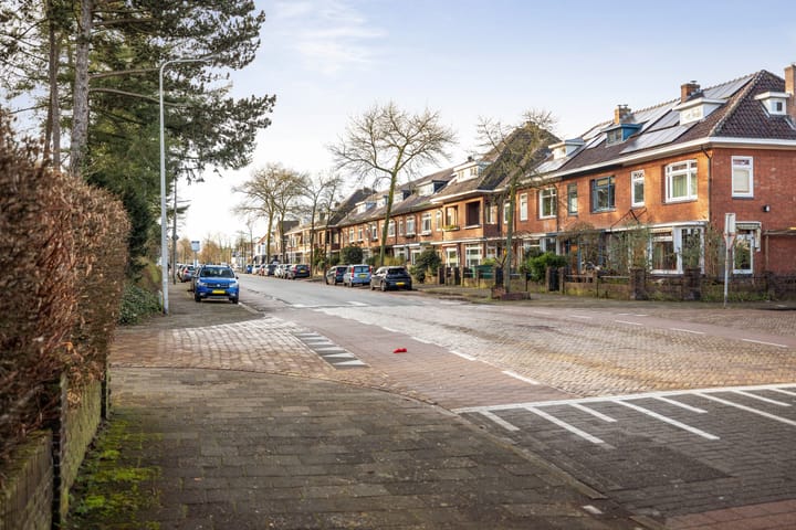 Foto 45 van Hoge Hondstraat 34