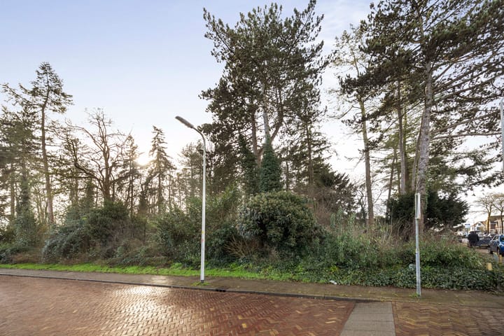 Foto 44 van Hoge Hondstraat 34