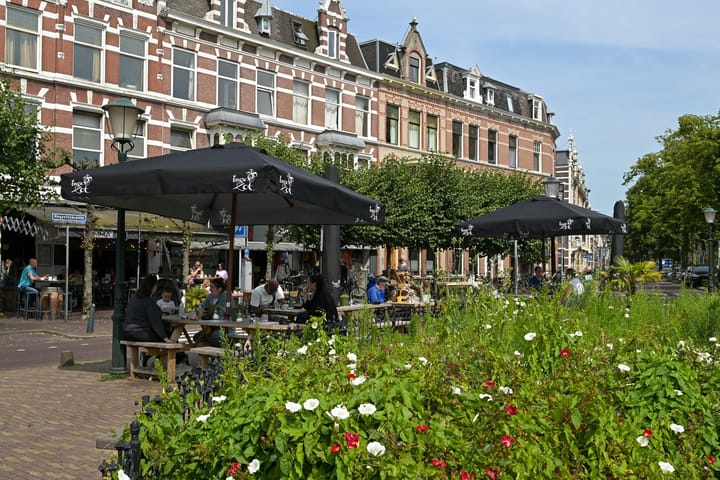 Photo 48 of Ligusterstraat 26