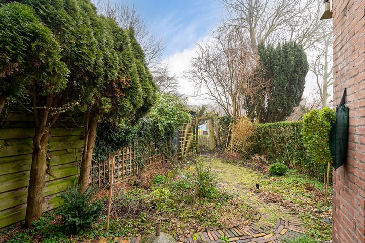 Foto 35 van Antigoneschouw 15