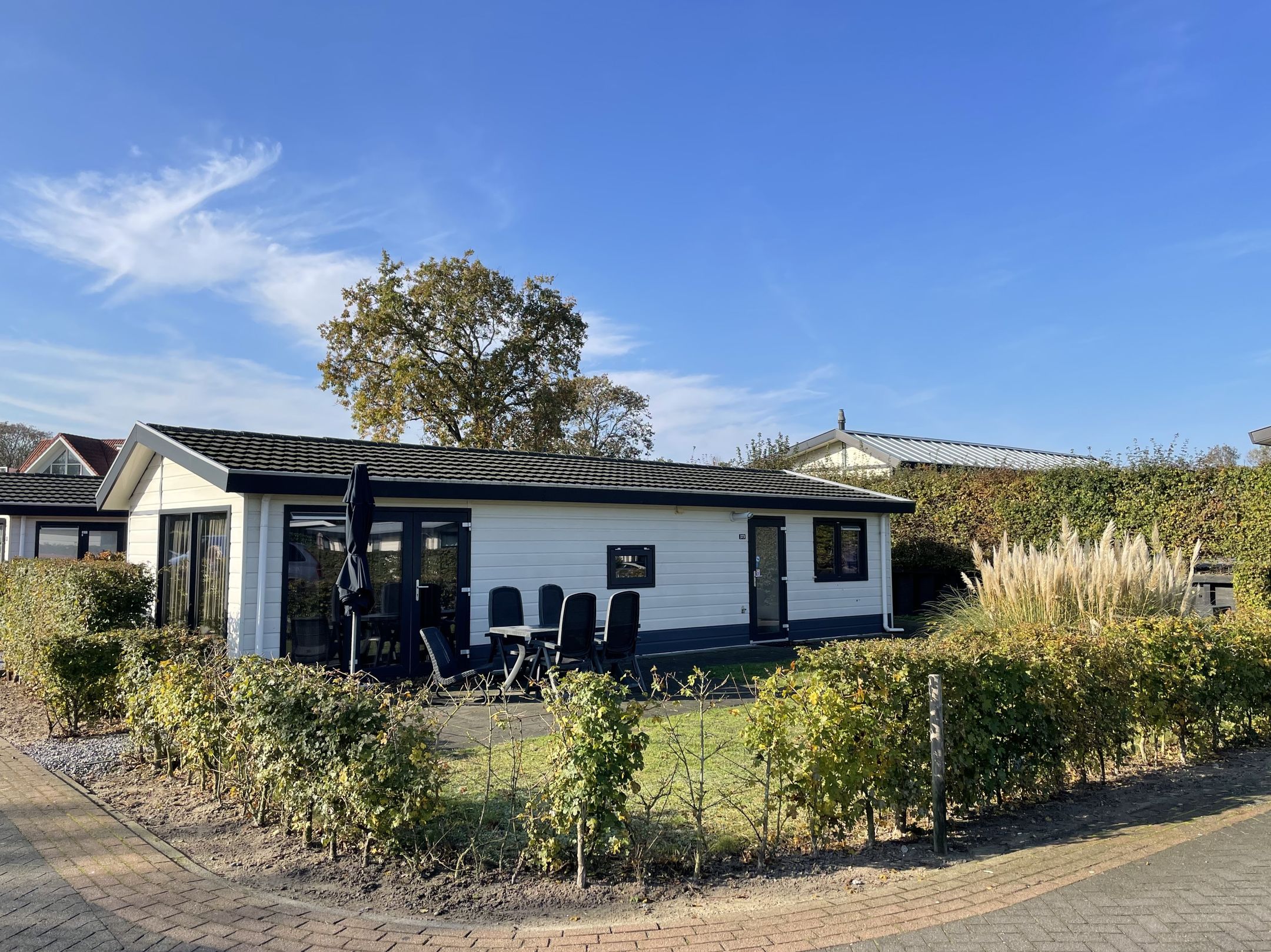 Foto 6 van Kapelleboslaan 41-373