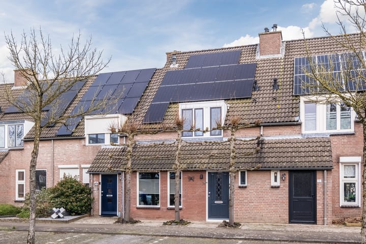 Foto 2 van Schapendries 9