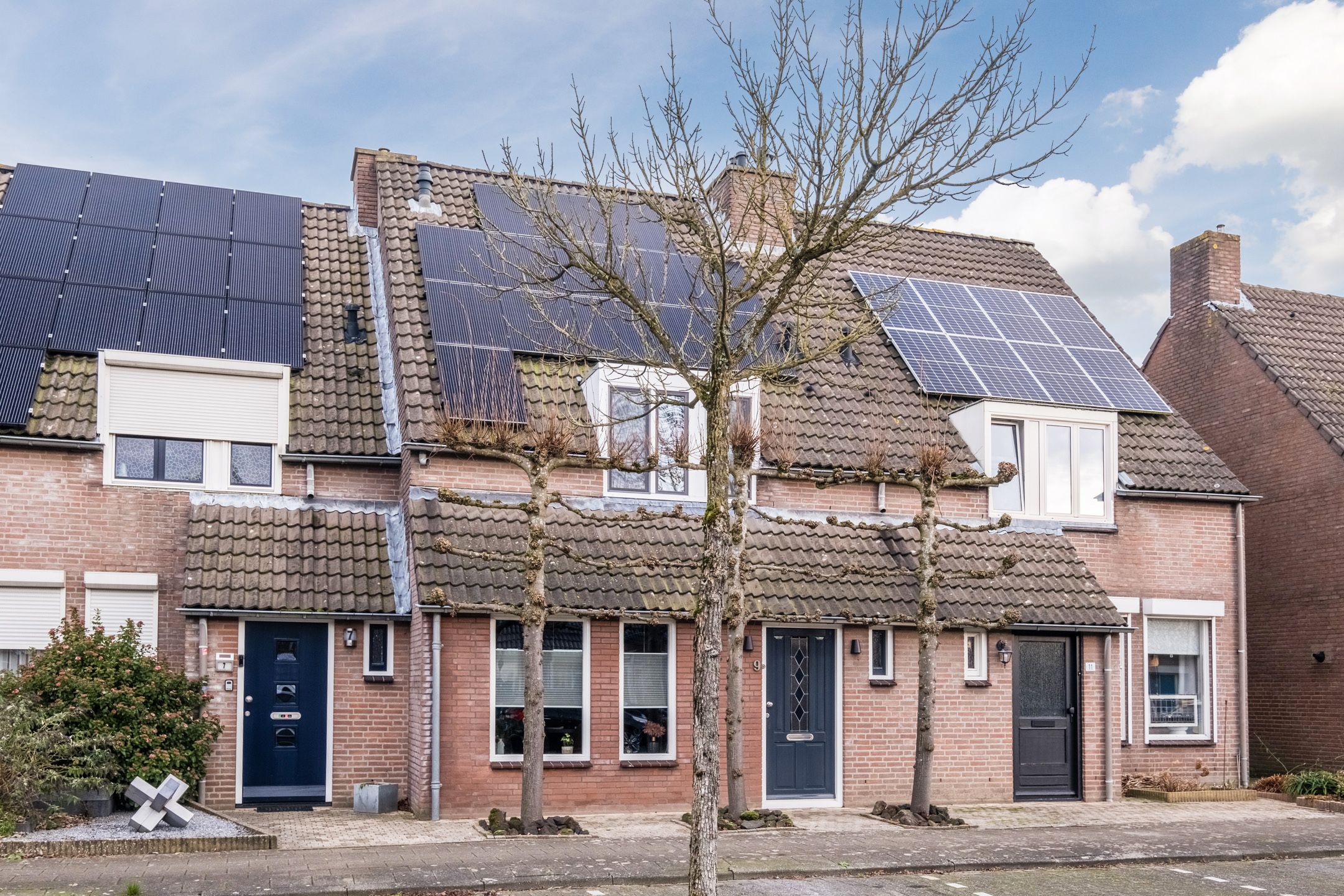 Foto 3 van Schapendries 9