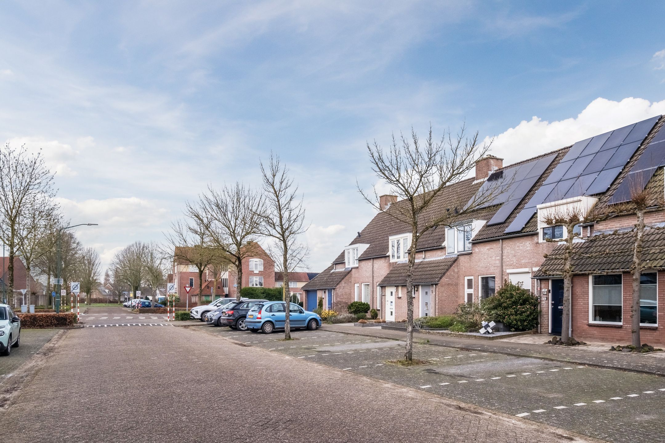 Foto 33 van Schapendries 9