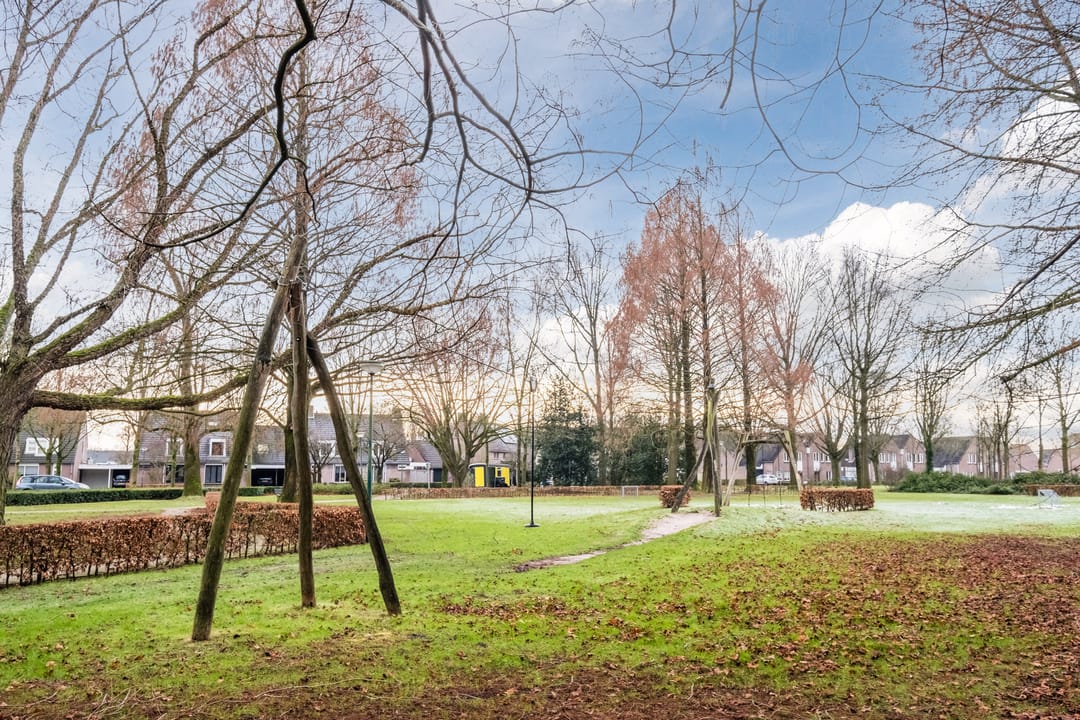 Foto 37 van Schapendries 9